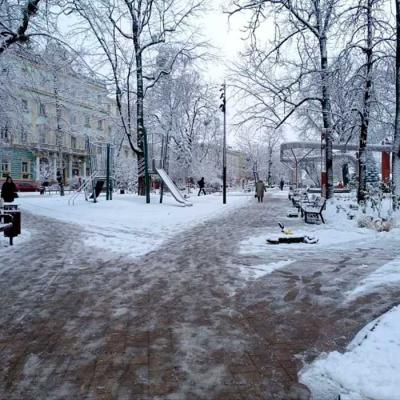 zymovi-chernivtsi