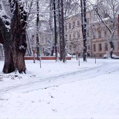 zymovi-chernivtsi