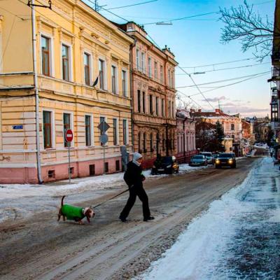 zymovi-chernivtsi