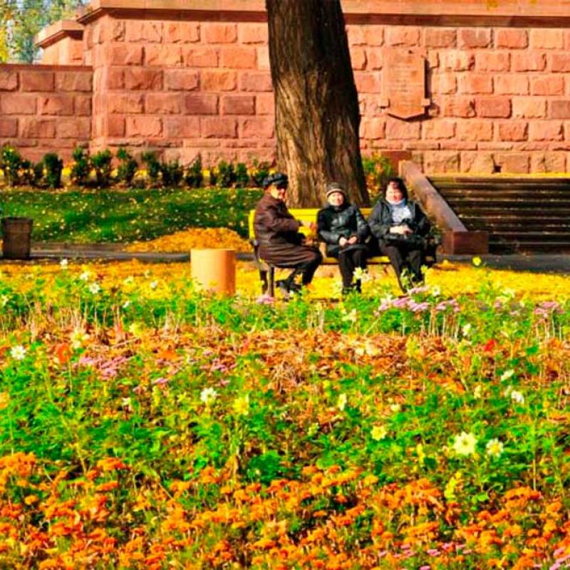 chernivtsi-osin-u-chernivtsiakh