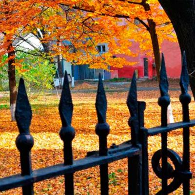 chernivtsi-osin-u-chernivtsiakh