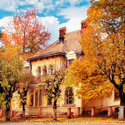 chernivtsi-osin-u-chernivtsiakh