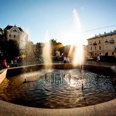 tsikavi-chernivtsi