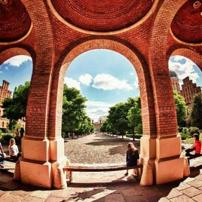 tsikavi-chernivtsi