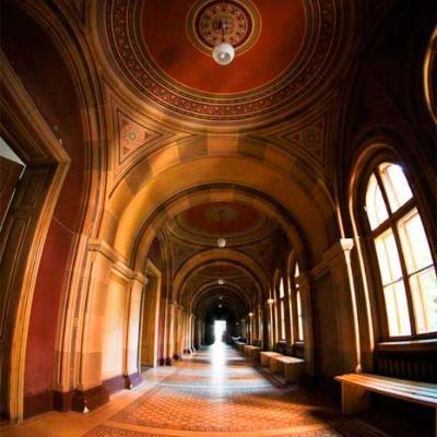 tsikavi-chernivtsi