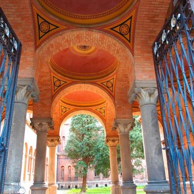 chernivtsi-natsionalniy-universytet