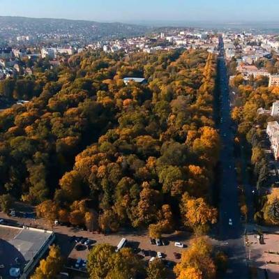 chernivtsi-chernivtsigram-osin