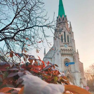 chernivtsi-chernivtsigram-osin