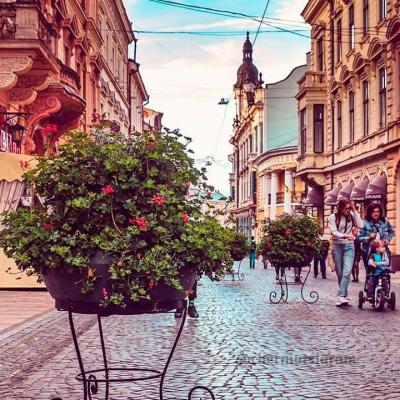 chernivtsi-chernivtsigram-osin