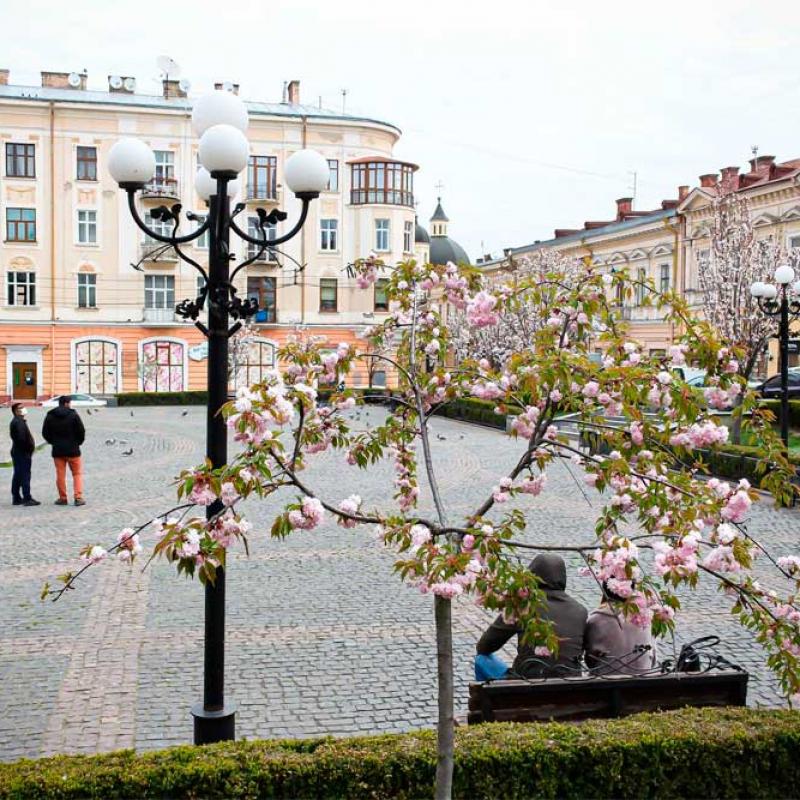 chernivtsi-vesna-2020