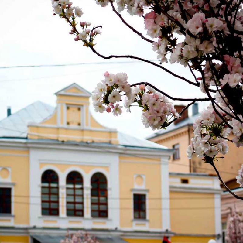 chernivtsi-vesna-2020