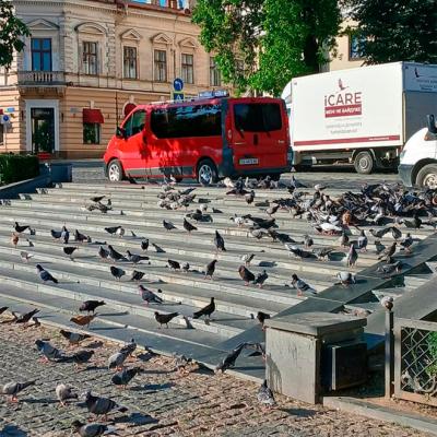 chernivtsi-ploshcha-filarmonii