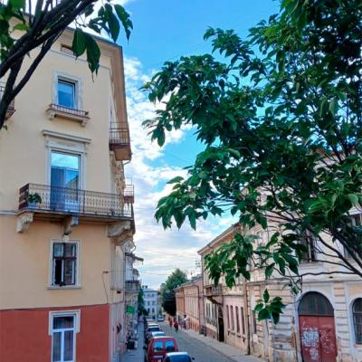 chernivtsi-ploshcha-filarmonii