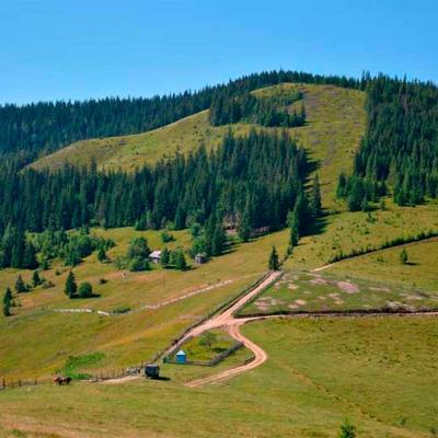 bukovynski-karpaty