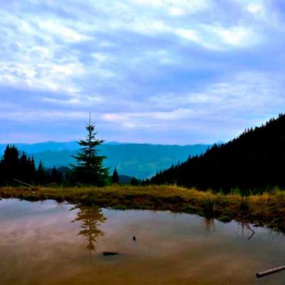 bukovynski-karpaty
