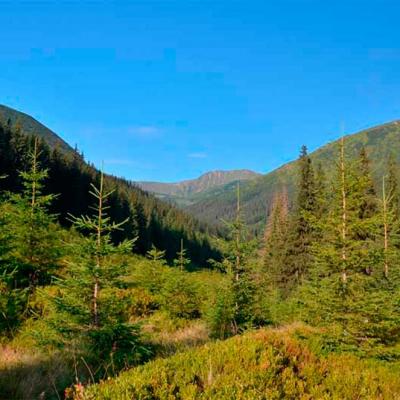 bukovynski-karpaty