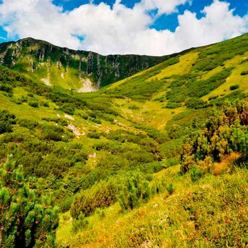 bukovynski-karpaty
