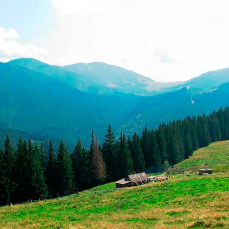 bukovynski-karpaty