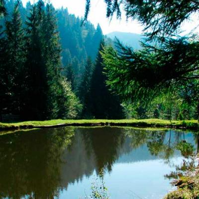 bukovynski-karpaty