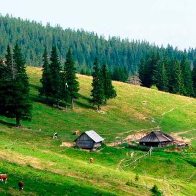 bukovynski-karpaty