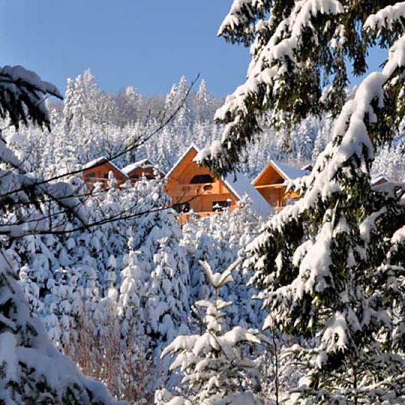 bukovyna-myhovo