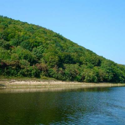 bukovyna-kanion-dnistra