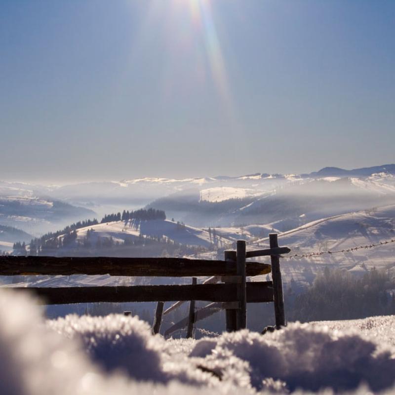 bukovyna-zyma-v-karpatakh