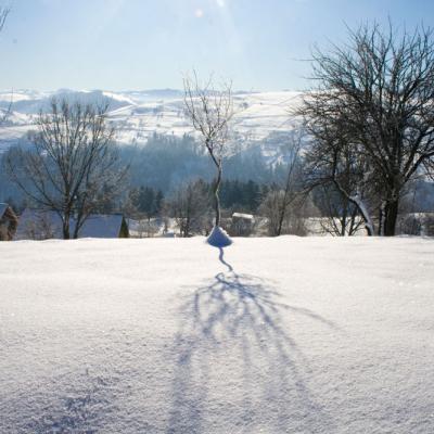 bukovyna-zyma-v-karpatakh