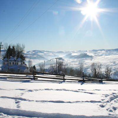 bukovyna-zyma-v-karpatakh