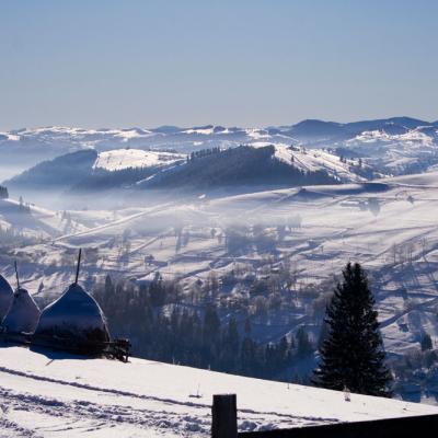 bukovyna-zyma-v-karpatakh