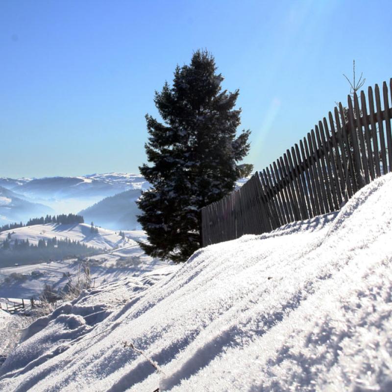 bukovyna-zyma-v-karpatakh