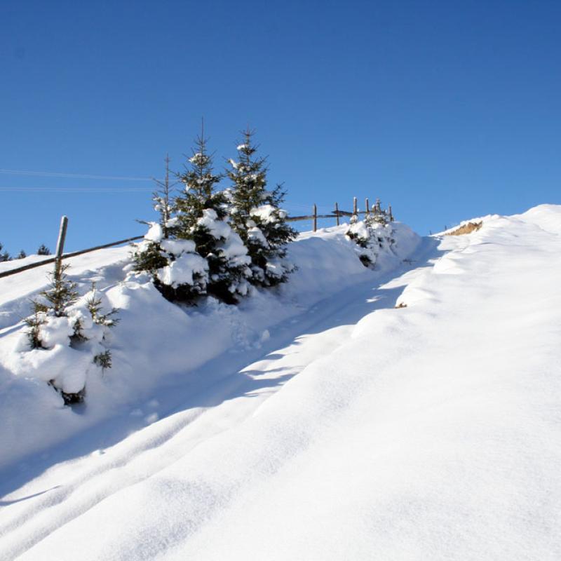 bukovyna-zyma-v-karpatakh