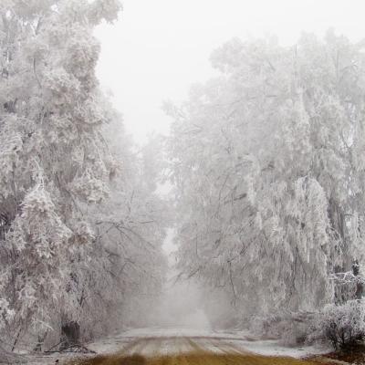 bukovyna-zyma-v-karpatakh