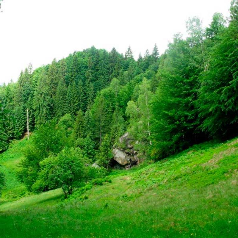 bukovyna-protiate-kaminnia