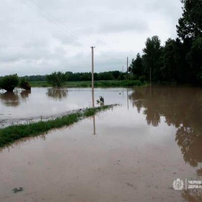 povin-na-bukovyni-2020