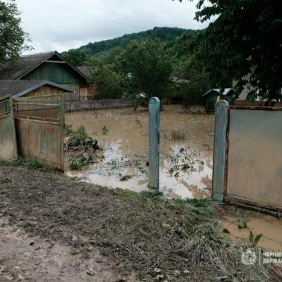 povin-na-bukovyni-2020