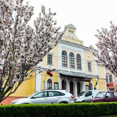 chernivtsi-tsvite-sakura-2021
