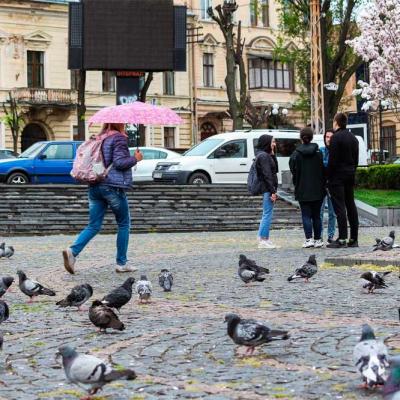 chernivtsi-tsvite-sakura-2021