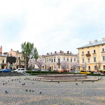 chernivtsi-tsvite-sakura-2021
