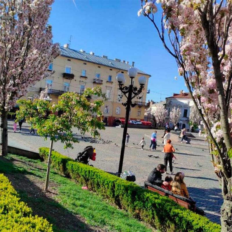 chernivtsi-tsvite-sakura-2021