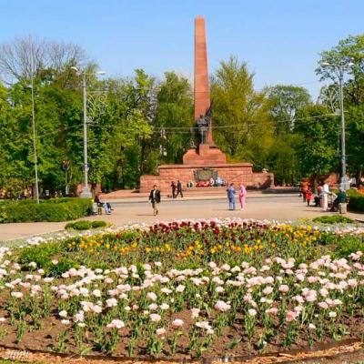 chernivtsi-soborna-ploshcha