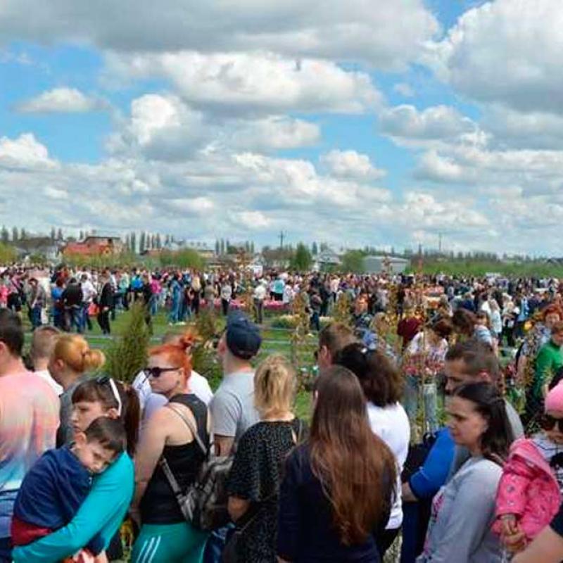 festyval-tiulpaniv-2019