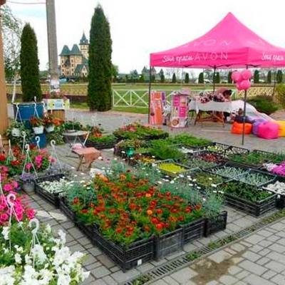 festyval-tiulpaniv-2019