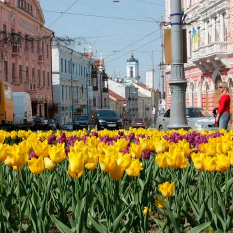 chernivtsi-vulytsi-chernivtsiv